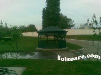 IMAGINI FOISOARE - IMAGINI FOISOARE